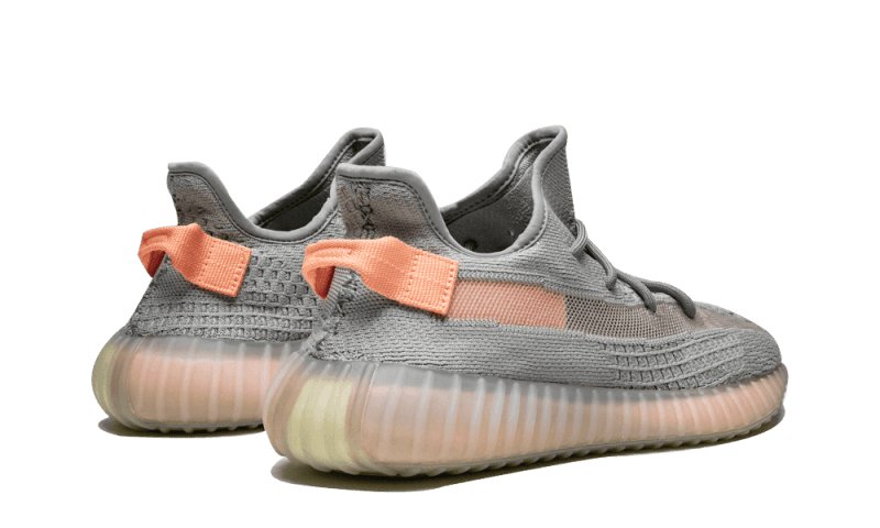 Adidas Yeezy Boost 350 V2 True Form - EG7492 - sneakers