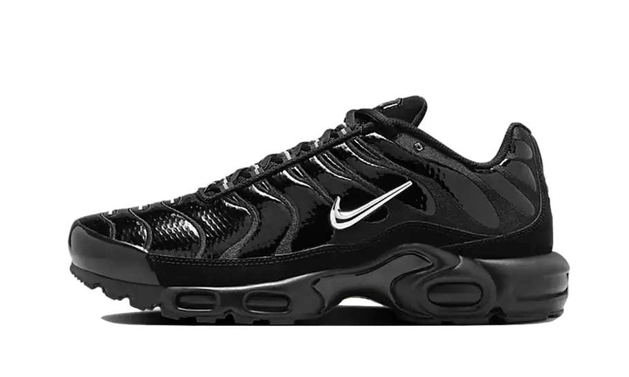 Nike Air Max Plus Black Volt Silver - FJ2591 - 001 - sneakers