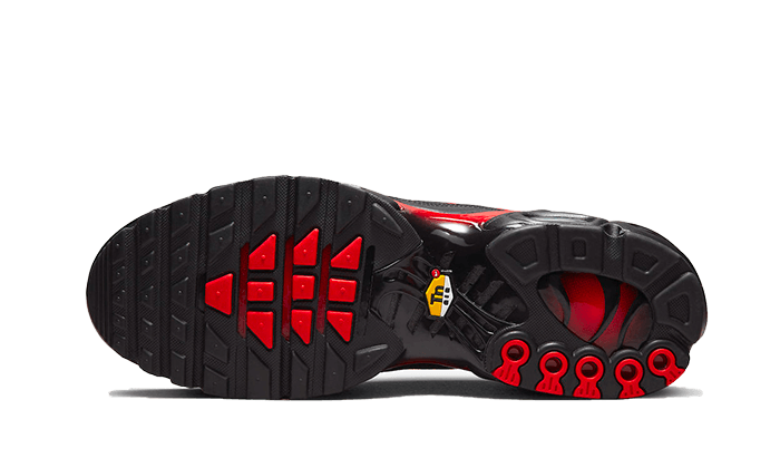 Nike Air Max Plus Bred Reflective - DZ4507 - 600 - sneakers