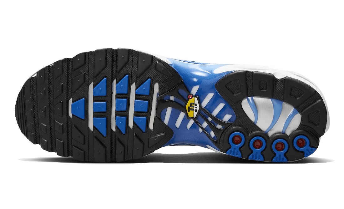 Nike Air Max Plus Light Photography Old Royal - DZ3531 - 400 - sneakers