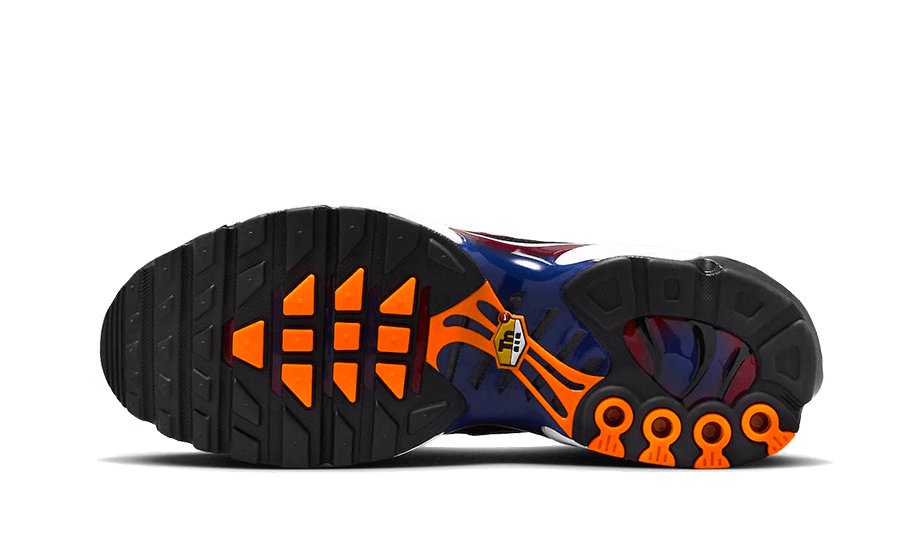 Nike Air Max Plus Patta FC Barcelone FN8260 001