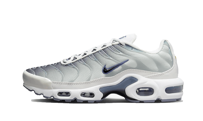 Nike Air Max Plus Sail Grey - FQ2892 - 100 - sneakers