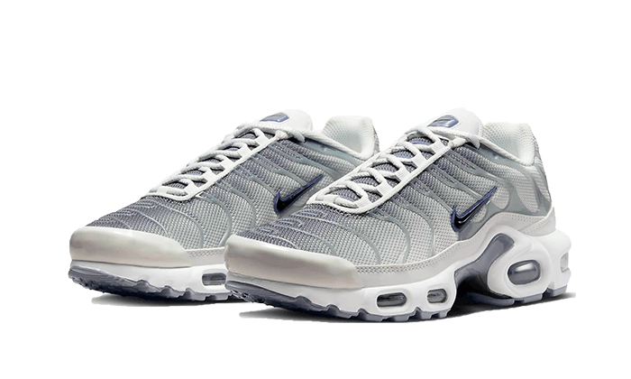 Nike Air Max Plus Sail Grey - FQ2892 - 100 - sneakers