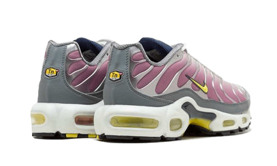 Nike Air Max Plus Violet Dust - FN8007 - 500 - sneakers