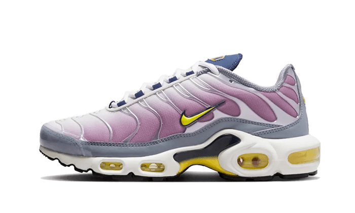 Nike Air Max Plus Violet Dust - FN8007 - 500 - sneakers