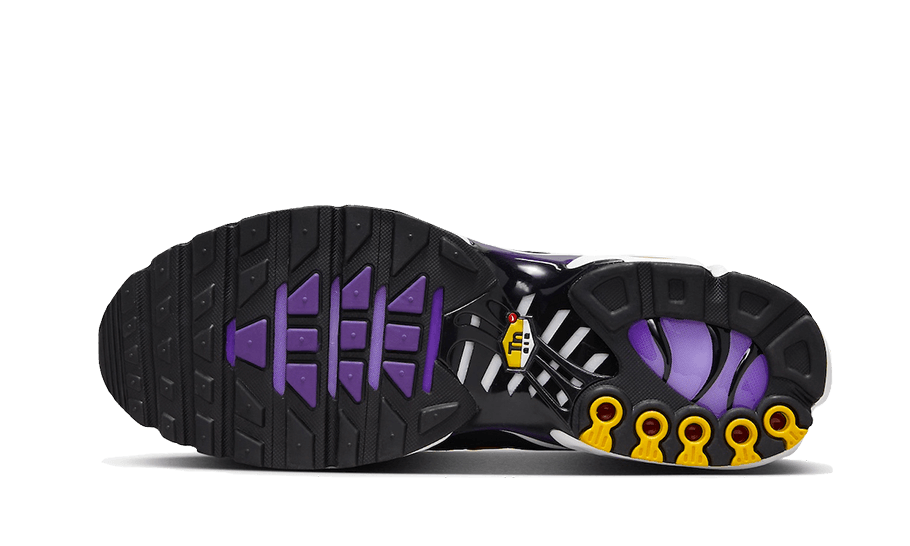 Nike Air Max Plus Voltage Purple - DX0755 - 500 - sneakers