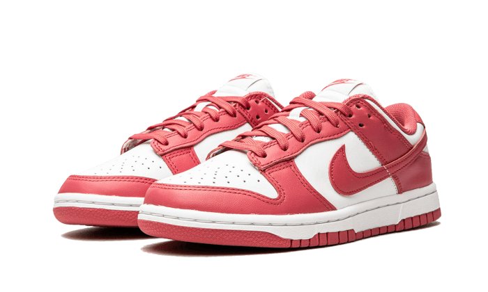 Nike Dunk Low Archeo Pink - DD1503 - 111 - sneakers