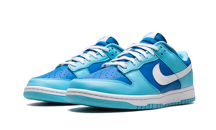 Nike Dunk Low Argon - DM0121 - 400 - sneakers