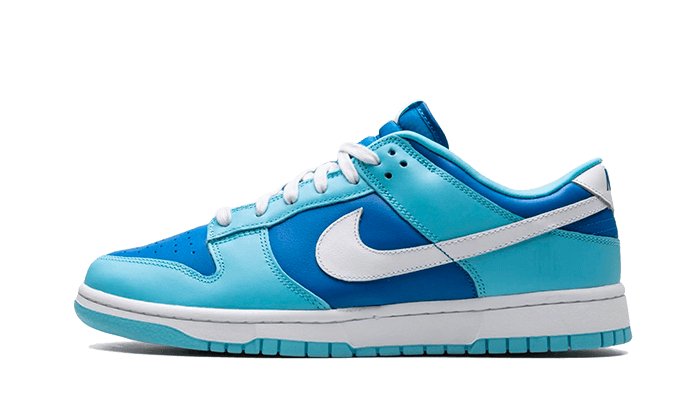 Nike Dunk Low Argon - DM0121 - 400 - sneakers