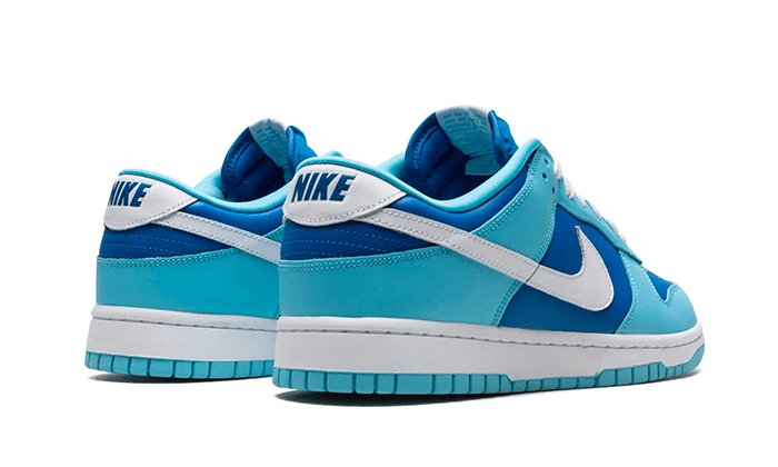 Nike Dunk Low Argon - DM0121 - 400 - sneakers