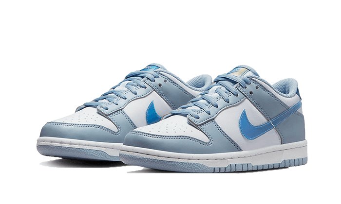 Nike Dunk Low Hologram - FJ4668 - 400 - sneakers