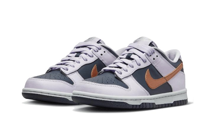 Nike Dunk Low SE Copper Swoosh - DX1663 - 400 - sneakers